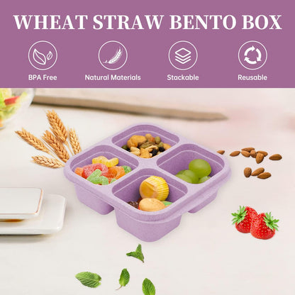 5 Pack Bento Lunch Box,4 Compartment Snack Containers,Divided Snack Box,Meal Prep Lunch Containers for Kids/Toddle/Adults,Food Storage Containers for School, Work and Travel